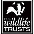 Wildlife-Trust-Logo.png